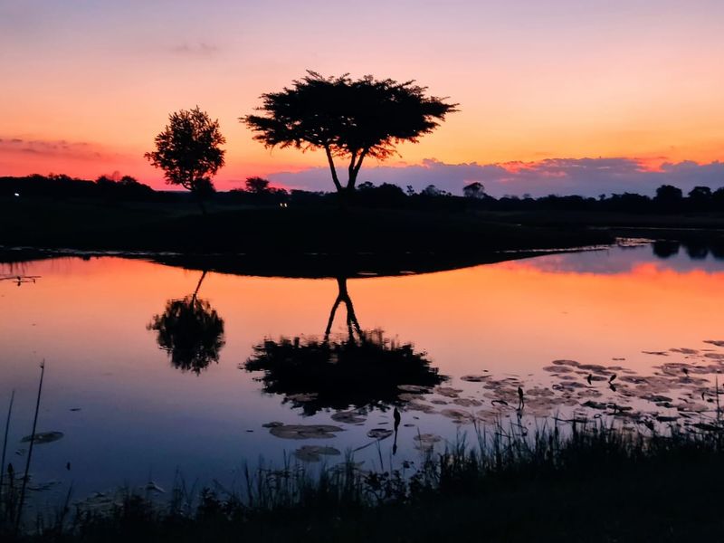 A scenic view of a tranquil pond at sunset, showcasing the natural landscape and peaceful surroundings of the property.