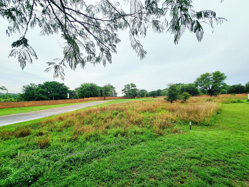 A view of a vacant residential plot featuring a paved road, boundary wall, and established trees on the property perimeter.