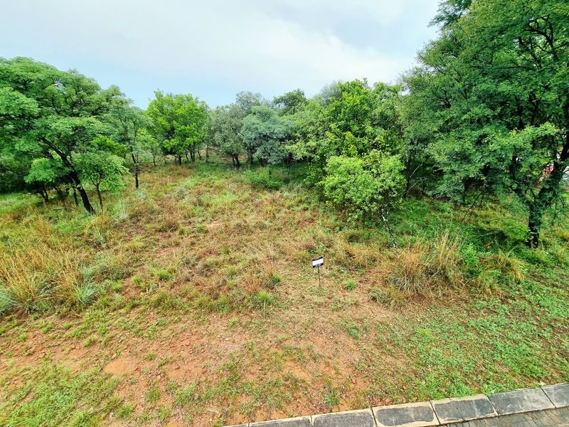 A view of a vacant residential plot featuring established trees and natural ground cover.