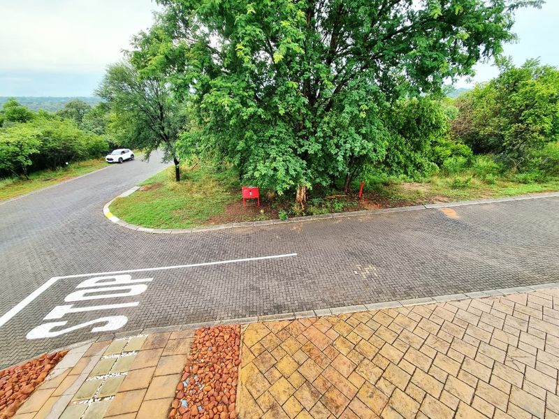A view of the paved street and driveway approach, featuring established trees and clear road markings in a residential setting.