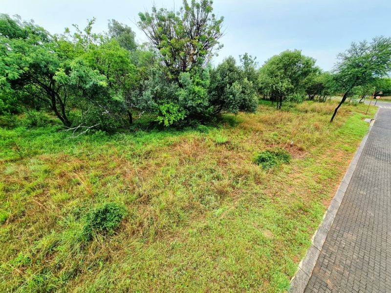 A view of the vacant residential land featuring established trees, natural grassland, and a paved curb along the street boundary.