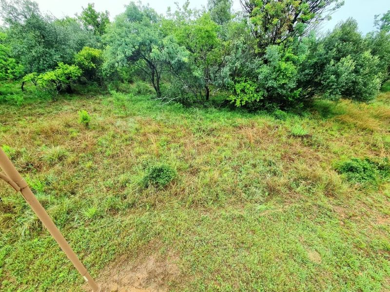 A view of the natural, undeveloped residential land featuring established trees and native ground cover.