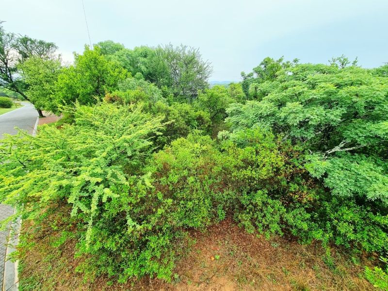 A view of a densely vegetated residential plot featuring mature trees and native shrubs, adjacent to a paved road.