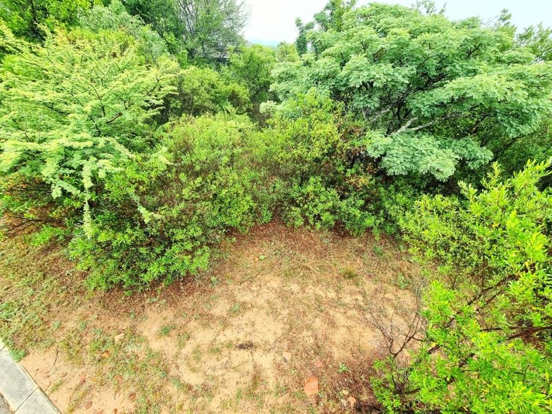 A view of the natural, undeveloped garden area featuring established trees and native shrubbery on the residential plot.