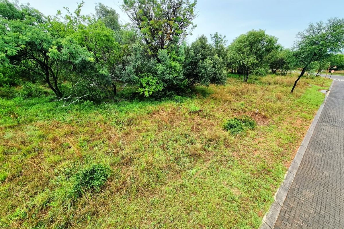 A view of a vacant residential plot featuring natural grassland, mature trees, and an adjacent paved curb.