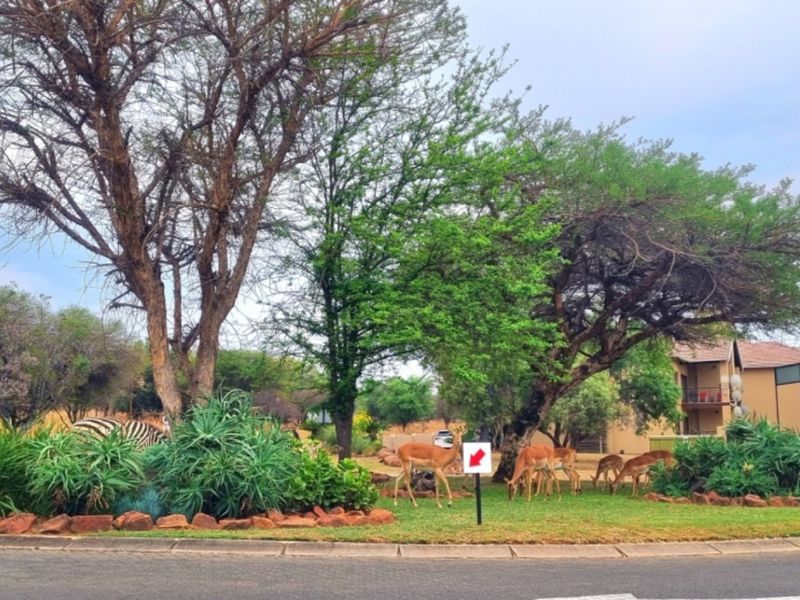A well-maintained landscaped garden area featuring mature trees and natural vegetation within a residential estate setting.