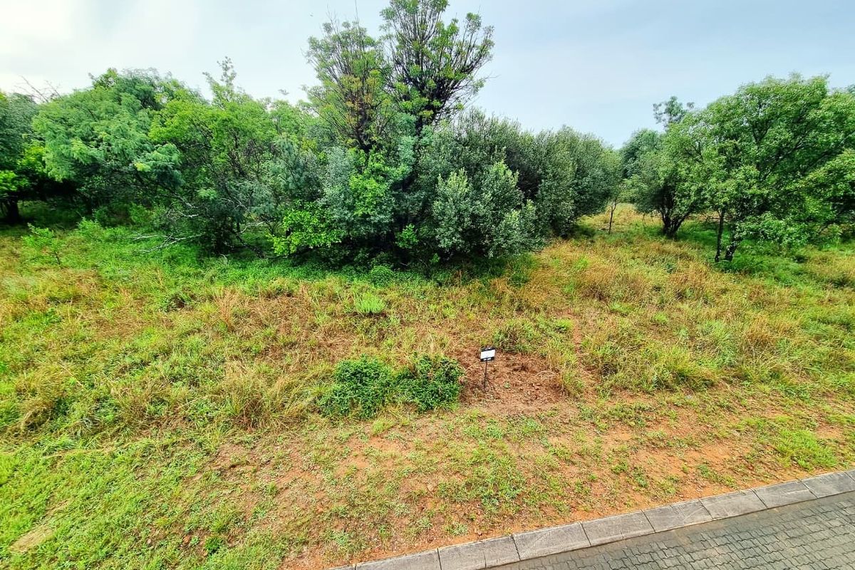 A vacant residential plot featuring natural vegetation, mature trees, and a paved curb along the street frontage.