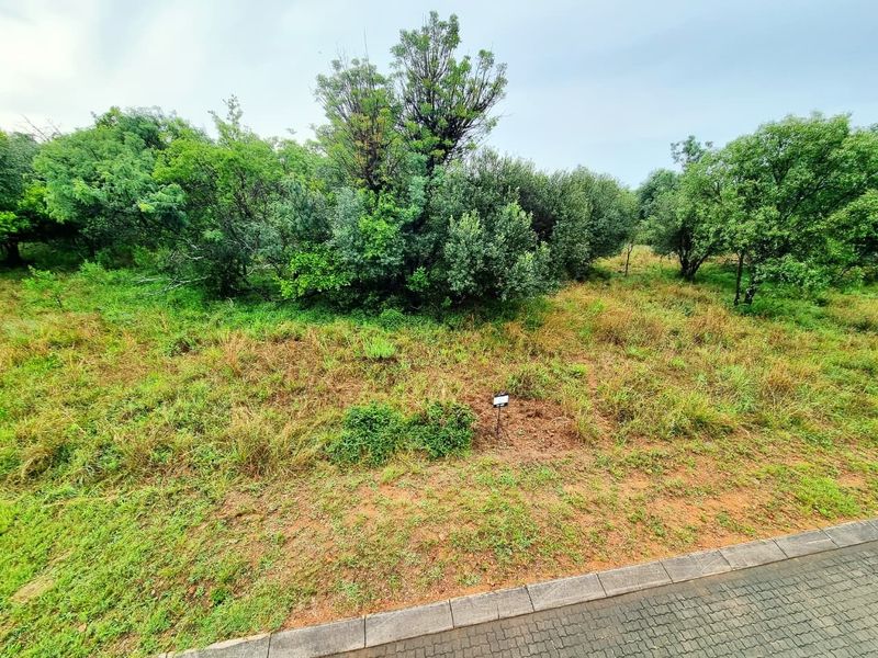 A vacant residential plot featuring natural vegetation, mature trees, and a paved curb along the street frontage.