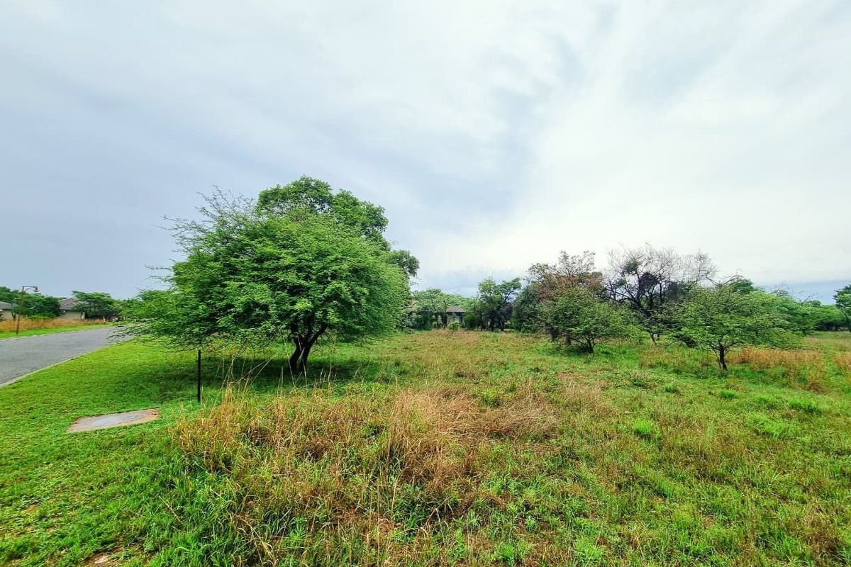 A vacant residential plot featuring natural grassland and mature trees, offering a blank canvas for future development.