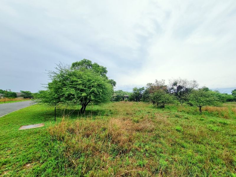 A vacant residential plot featuring natural grassland and mature trees, offering a blank canvas for future development.