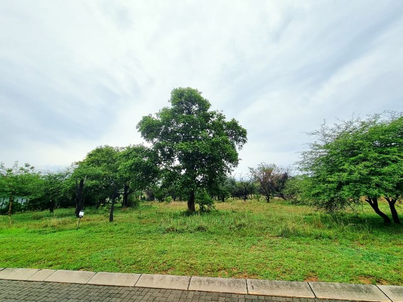 A vacant residential plot featuring established trees and natural grassland, bordered by a paved verge.