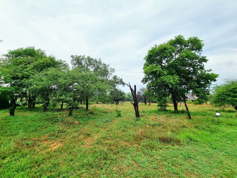 A view of a vacant residential plot featuring established trees and natural grassland vegetation.
