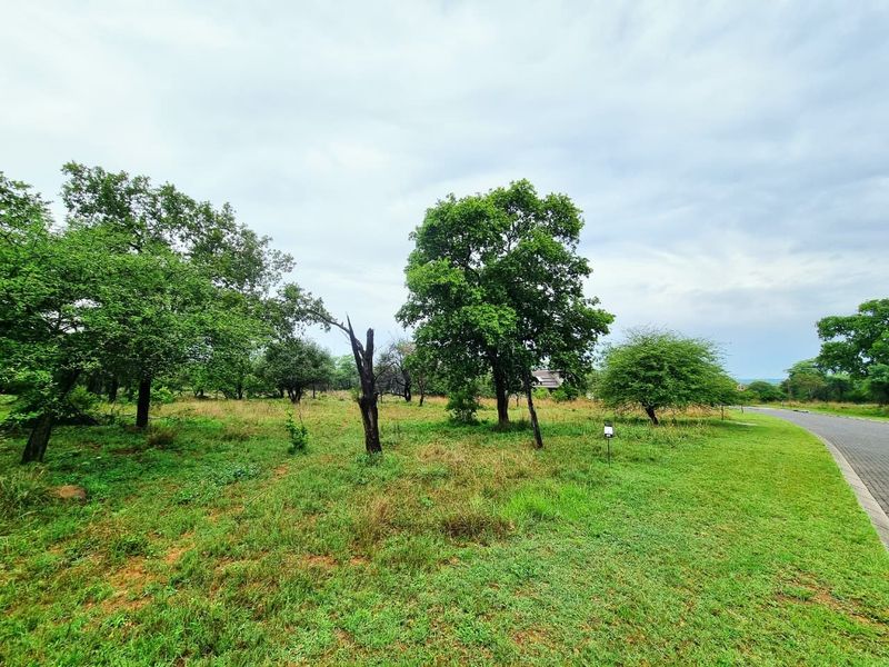 A vacant residential plot featuring established trees and greenery, with direct access to a paved road.