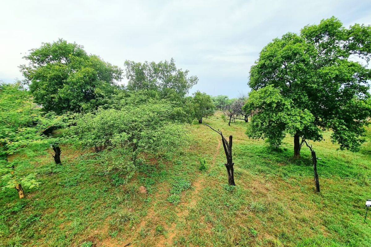 A view of a vacant residential plot featuring established trees and natural grassland vegetation.