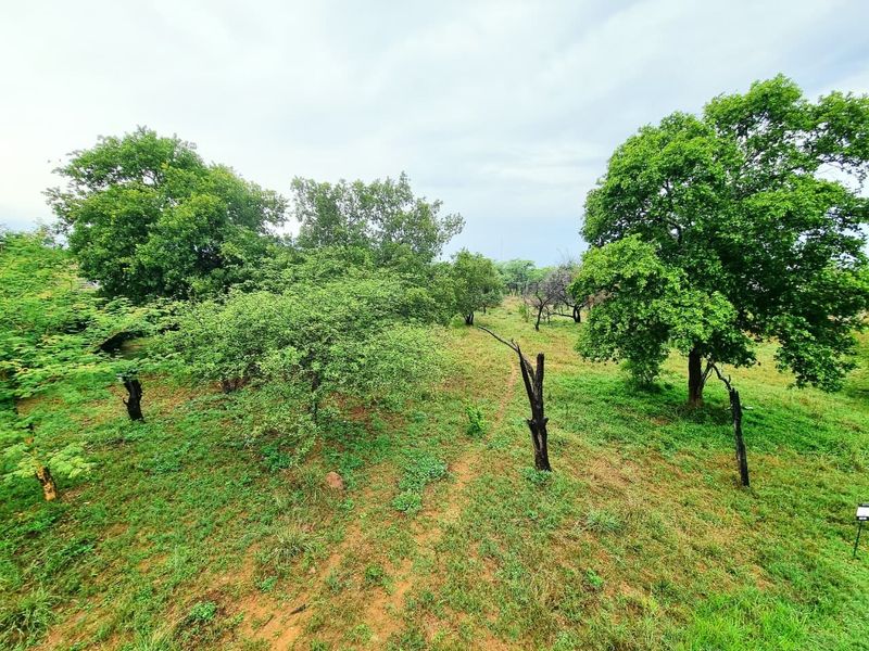 A view of a vacant residential plot featuring established trees and natural grassland vegetation.