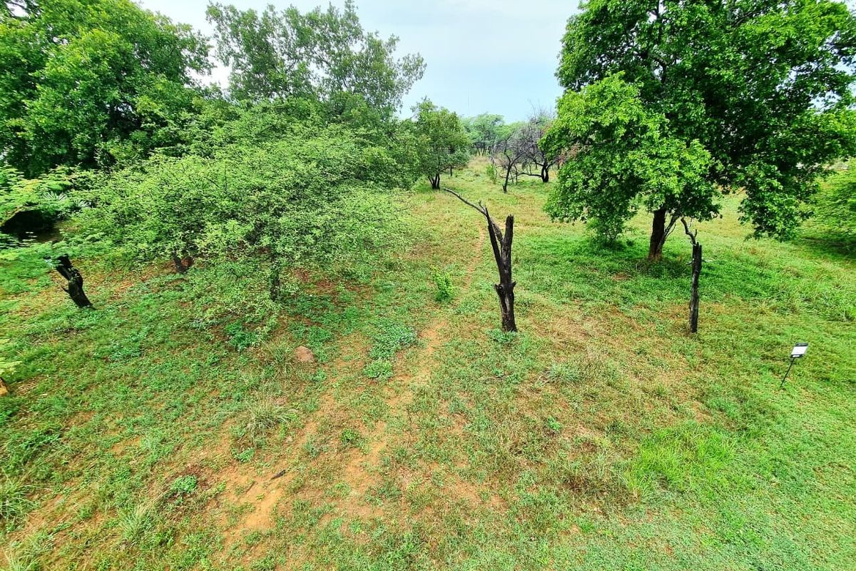 A view of a vacant residential plot featuring established trees and natural grass cover.