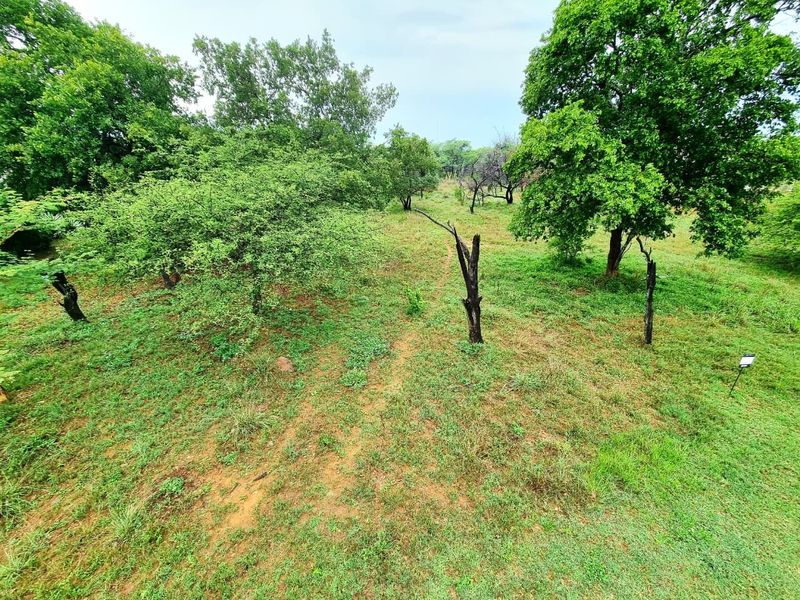 A view of a vacant residential plot featuring established trees and natural grass cover.