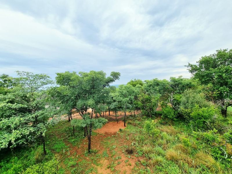 A scenic view of a vacant residential plot featuring established native trees and natural vegetation on red soil terrain.