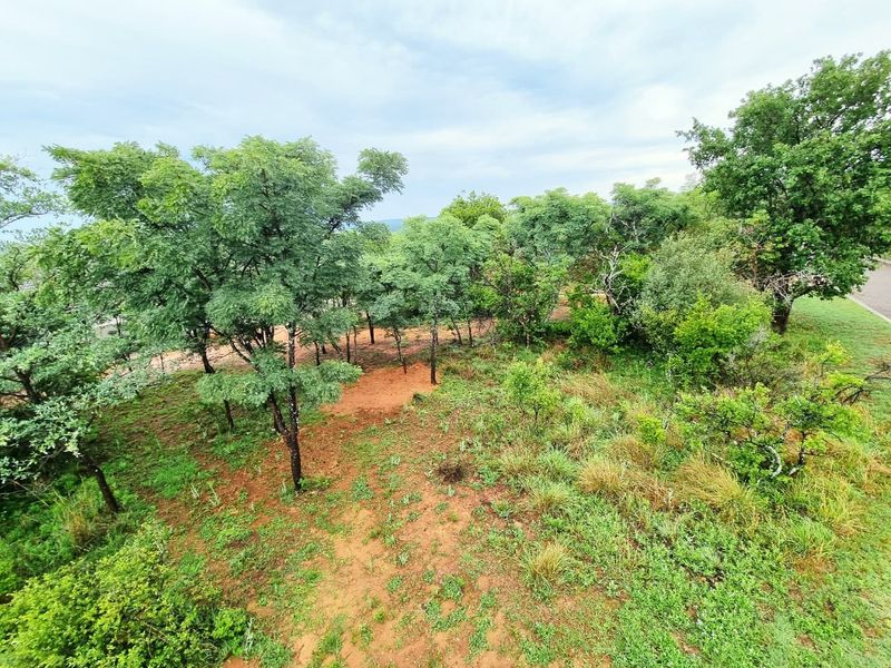 An aerial view of a vacant residential plot featuring natural vegetation, native trees, and unimproved soil.