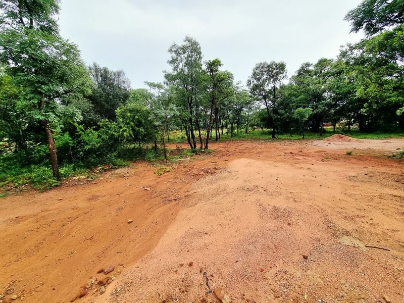 A view of a vacant residential plot featuring cleared red earth and established mature trees.