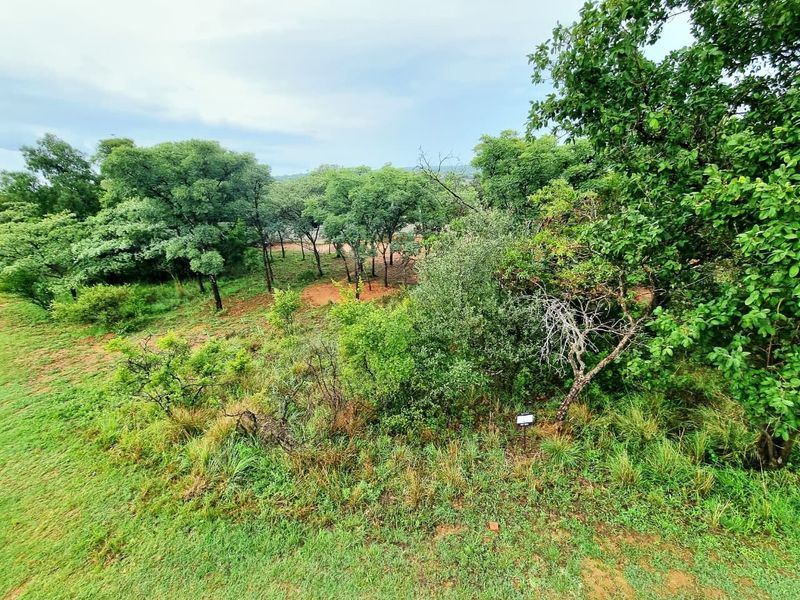 A view of a vacant residential plot featuring established native trees and natural vegetation, suitable for development.