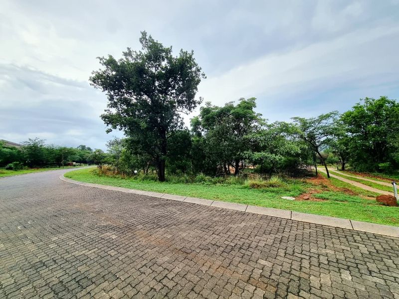 A view of the street frontage showing the paved road, concrete curbing, and established trees on the vacant residential land.