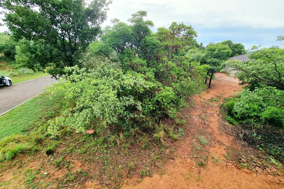 A view of a vacant residential plot featuring established indigenous trees and natural vegetation with an unpaved access path.