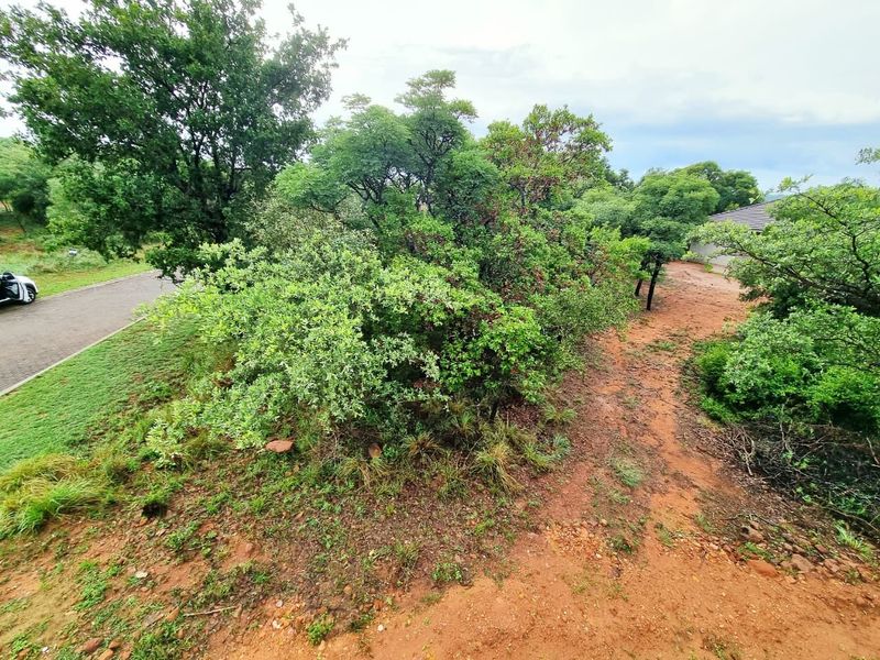 A view of a vacant residential plot featuring established indigenous trees and natural vegetation with an unpaved access path.