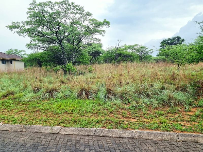 A vacant residential plot featuring natural vegetation, mature trees, and direct access to a paved street curb.