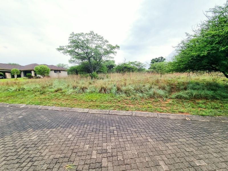 A view of a vacant residential plot from the paved street, featuring established trees and natural vegetation.