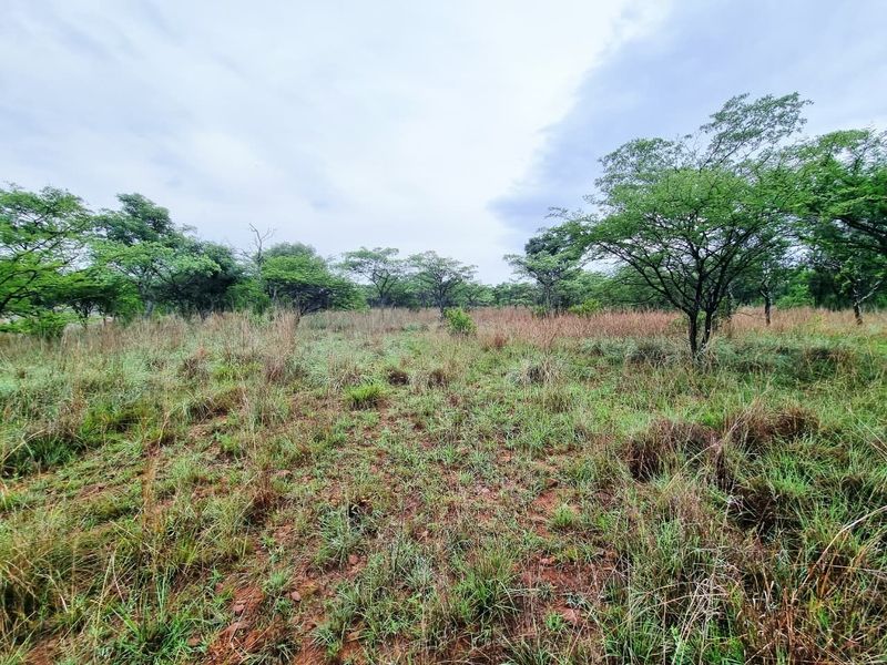 A view of the vacant residential land featuring natural grass cover and established indigenous trees across the property.