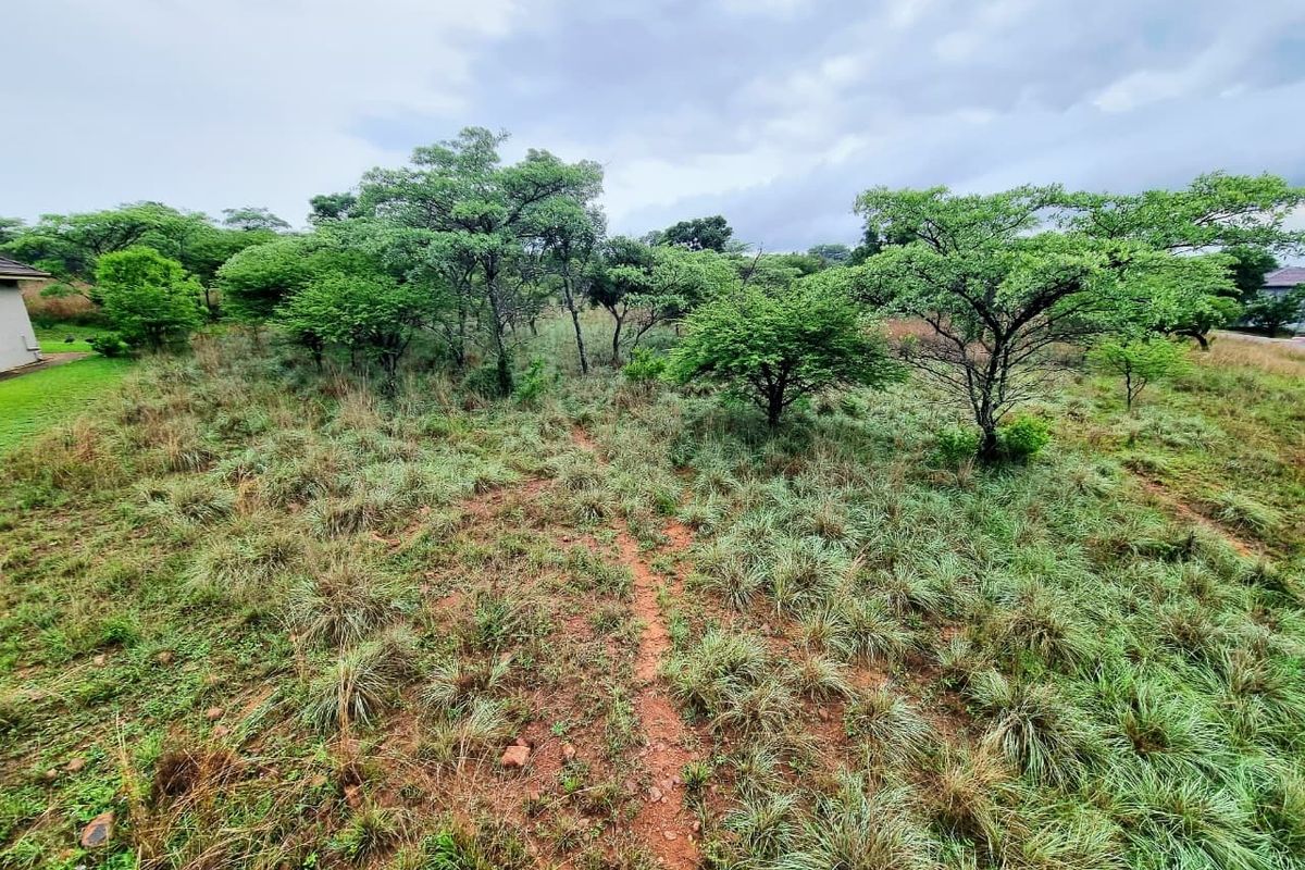 A view of a vacant residential plot featuring natural indigenous trees and wild grass cover.