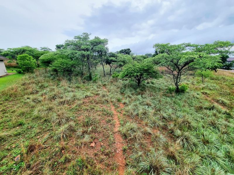 A view of a vacant residential plot featuring natural indigenous trees and wild grass cover.