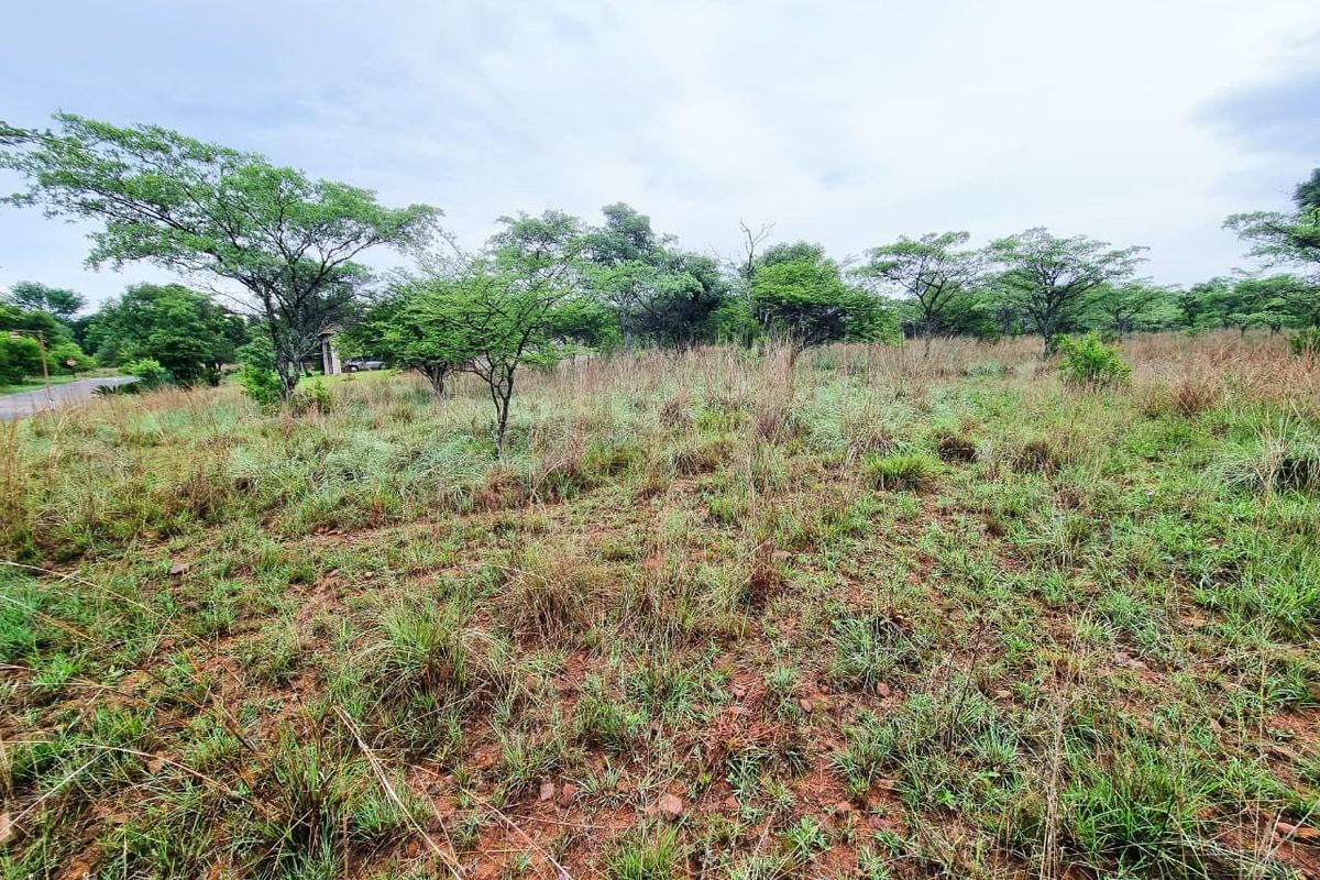 A view of a vacant residential plot featuring natural grass cover and established trees, suitable for future development.