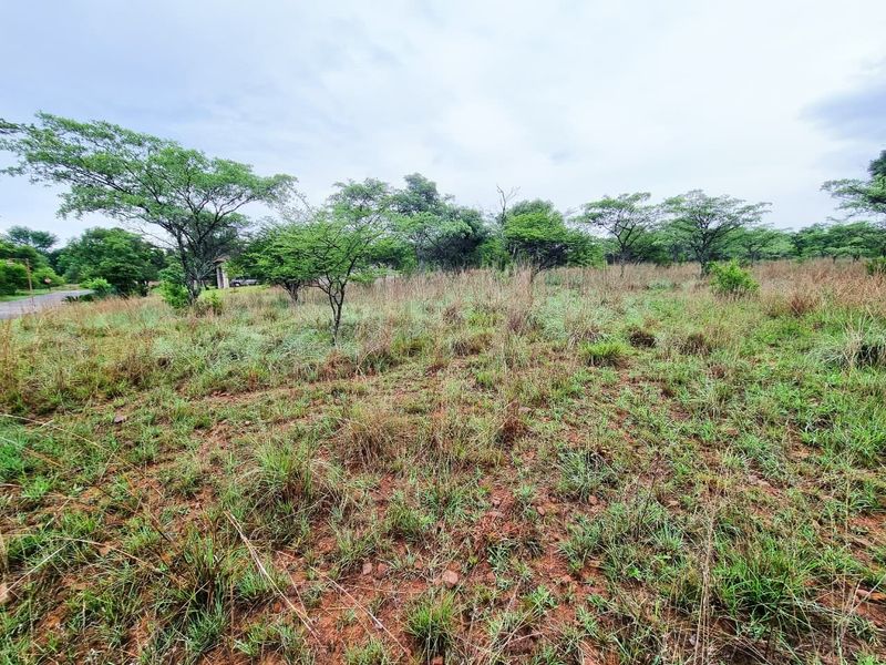 A view of a vacant residential plot featuring natural grass cover and established trees, suitable for future development.