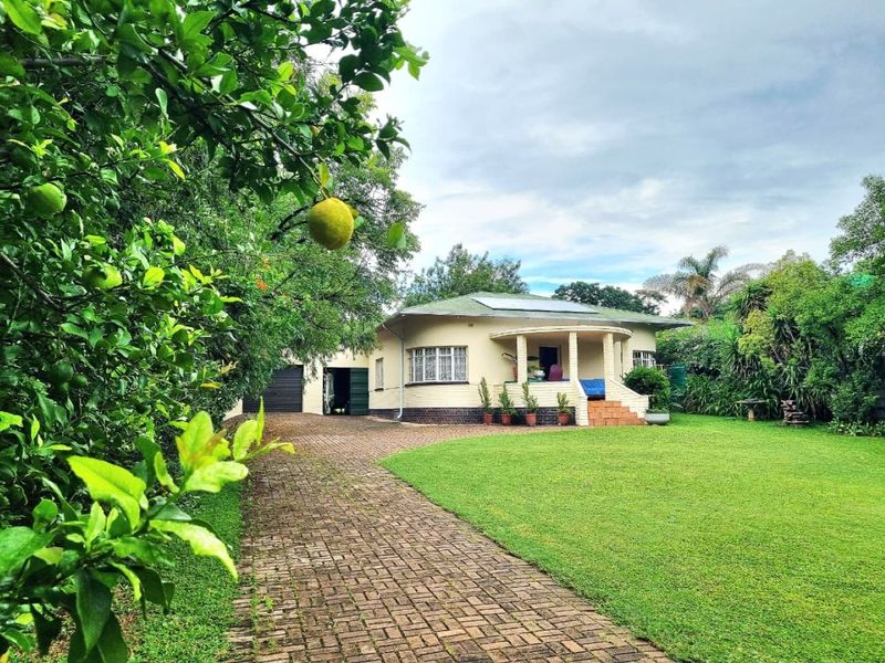 A charming single-story house featuring a brick driveway, a covered front porch, solar panels, and a well-maintained garden.