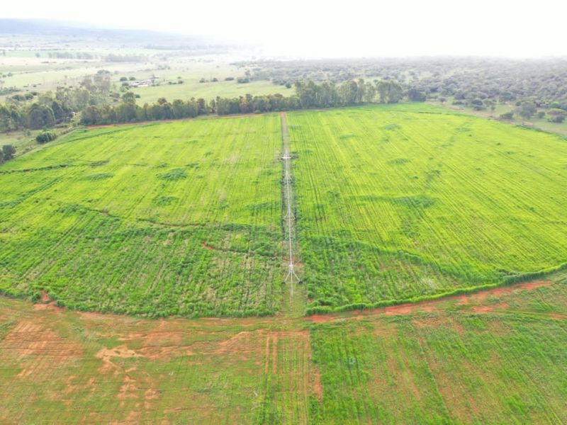 Aerial view of a large cultivated farm field featuring a central pivot irrigation system.