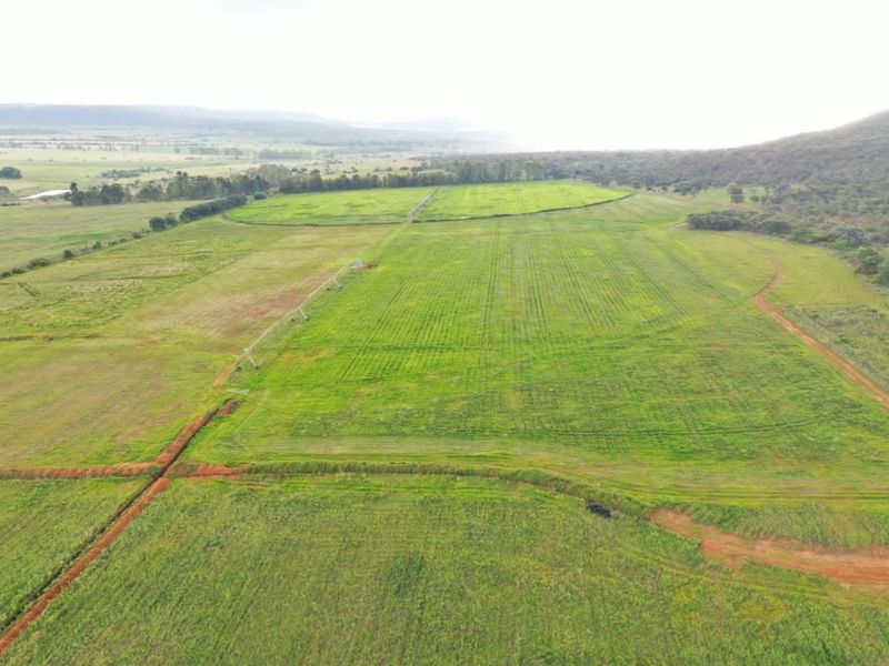 Aerial view of expansive green agricultural farmland featuring established irrigation infrastructure and dirt access tracks across the property.