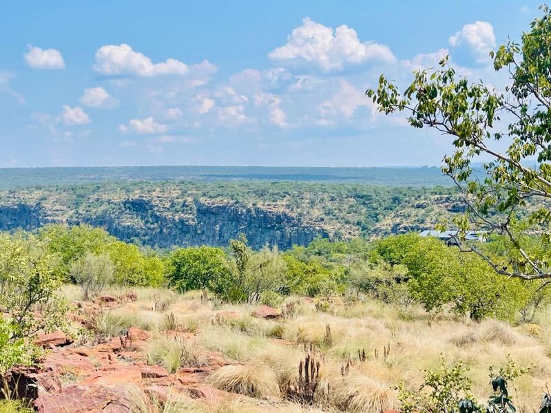 A scenic landscape view overlooking a natural valley with rocky cliffs and native vegetation, showcasing the expansive terrain of the vacant land.