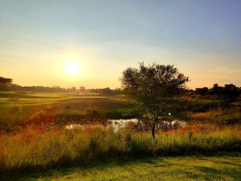 A scenic view of the vacant residential land featuring a natural pond and indigenous vegetation at sunset.