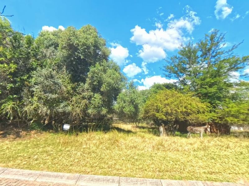 A view of a vacant residential plot featuring mature trees and natural grassland vegetation.