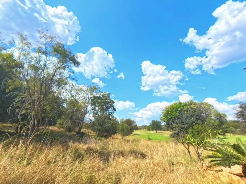A scenic view of the vacant residential land featuring natural vegetation, mature trees, and an open landscape under a clear blue sky.