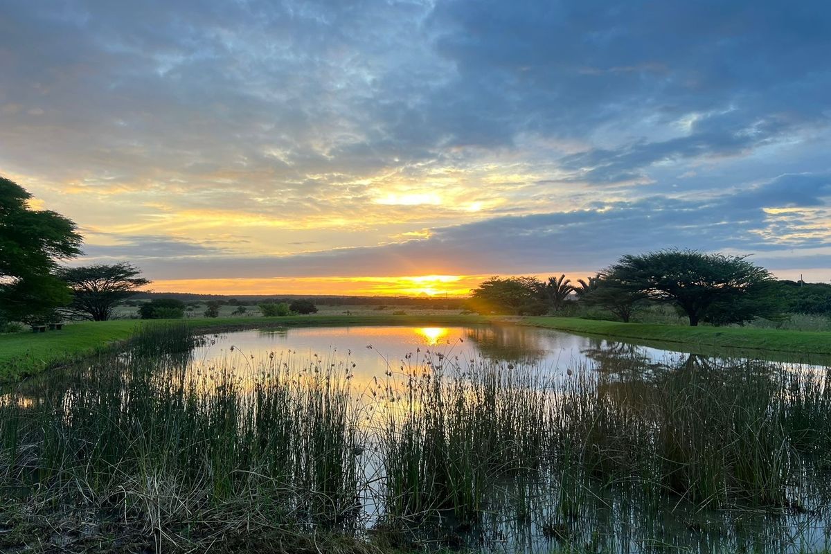 A scenic view of a natural pond at sunset, surrounded by native vegetation and open landscape.