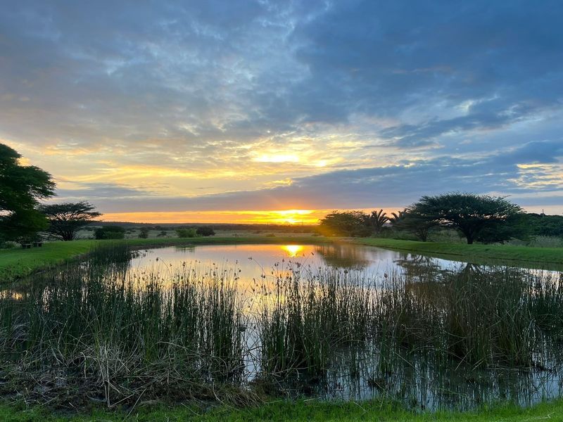 A scenic view of a natural pond at sunset, surrounded by native vegetation and open landscape.