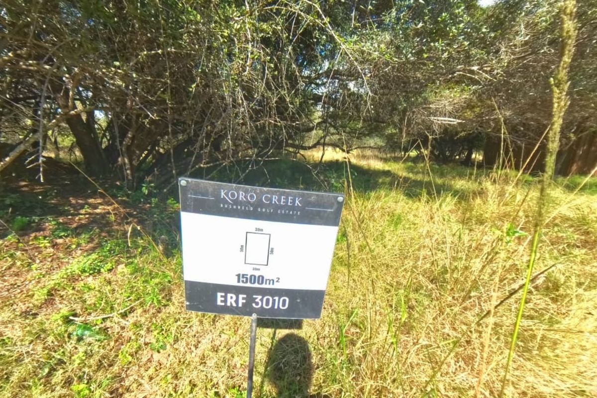 A view of a vacant residential plot in Koro Creek Bushveld Golf Estate, featuring natural bushveld vegetation and mature trees.