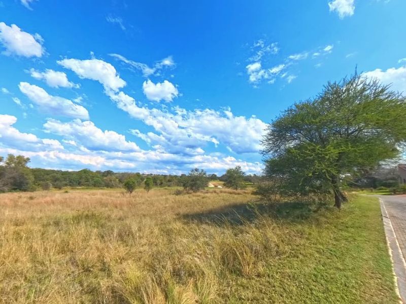 A view of a vacant residential plot featuring natural grassland, mature trees, and an adjacent paved driveway.