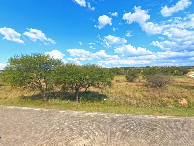 A view of a vacant residential plot featuring natural vegetation and a paved street frontage.