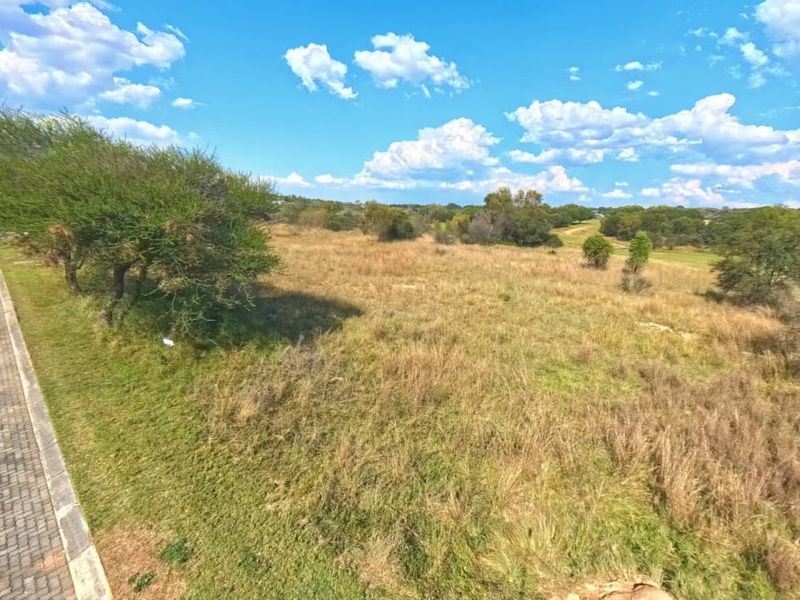 A vacant residential plot featuring natural grassland, indigenous trees, and an adjacent paved street verge.