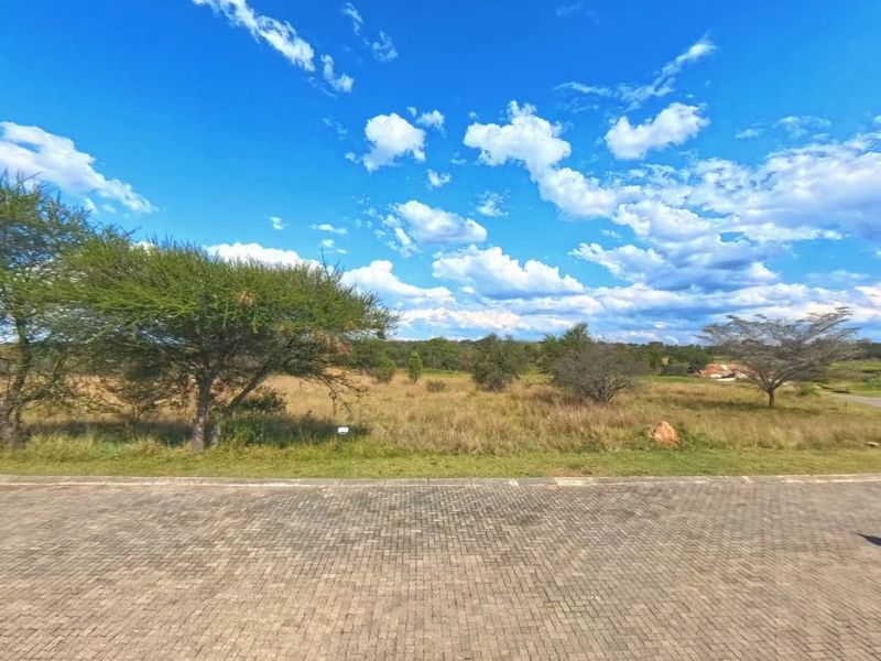 A view of a vacant residential plot featuring a paved driveway approach and natural landscape with established trees.
