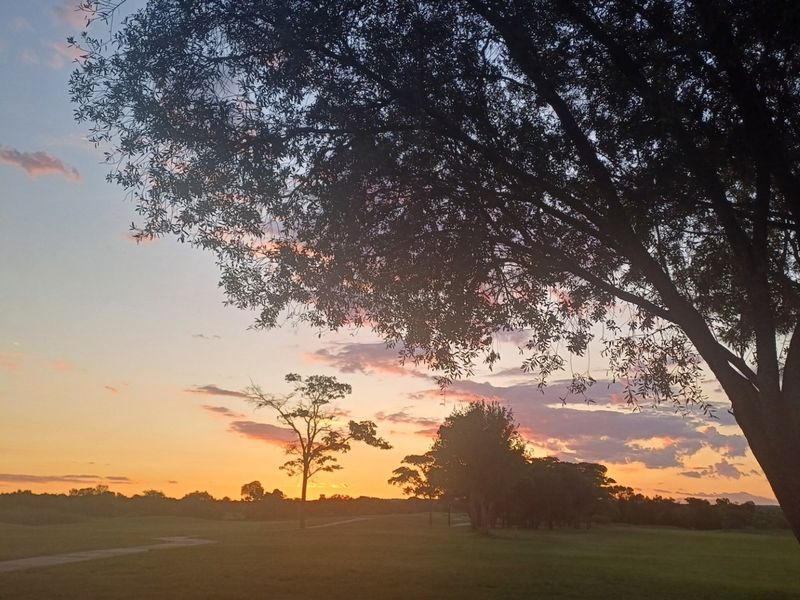 A scenic view of the vacant residential land at sunset, featuring mature trees and open grassy terrain.